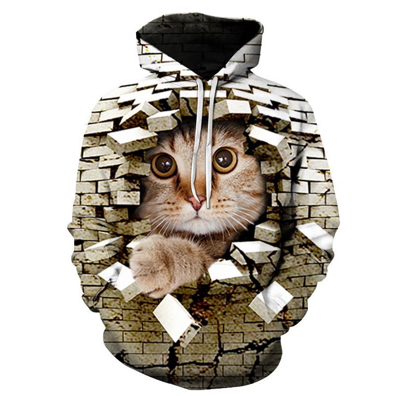 Couples Hoodie With 3D Digital Cat Print