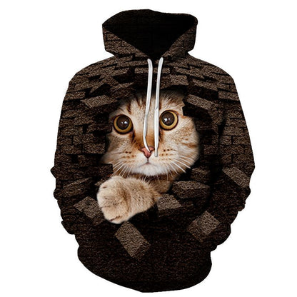 Couples Hoodie With 3D Digital Cat Print
