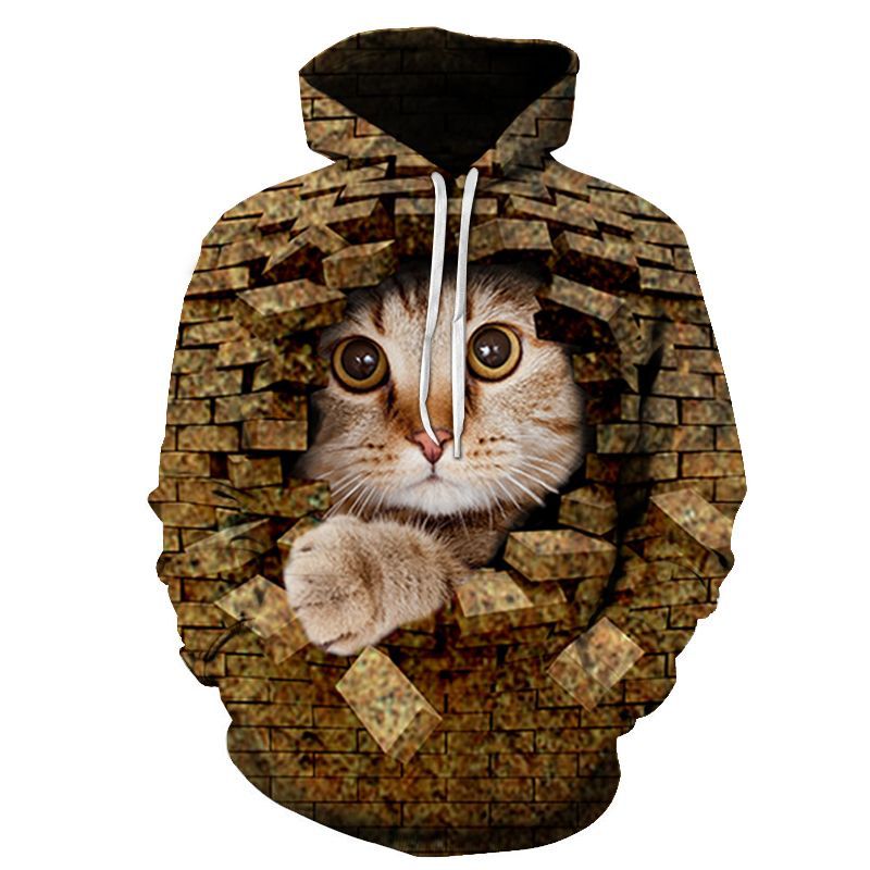 Couples Hoodie With 3D Digital Cat Print