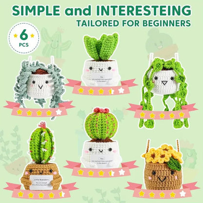 Crochet Kit  Crochet Kit For Beginners Emotional Support Succulent Crochet & Knitting Kit With Step By Step Video Lessons  6pcs Succulent Crochet Kit With Crochet Accessories