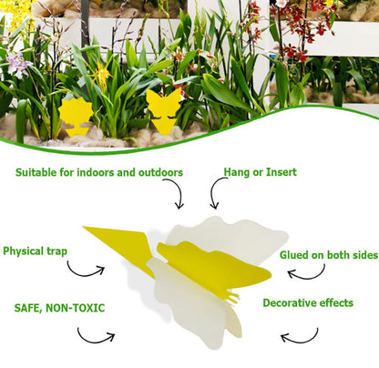 20pcs Fruit Fly Traps Insects Bugs Catcher Sticky Waterproof Fungus Gnat Killer