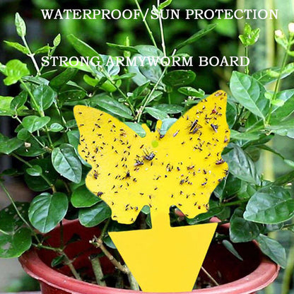 20pcs Fruit Fly Traps Insects Bugs Catcher Sticky Waterproof Fungus Gnat Killer